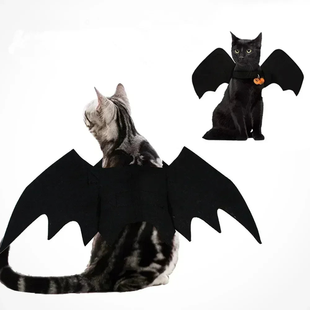Disfarce para Gato Halloween