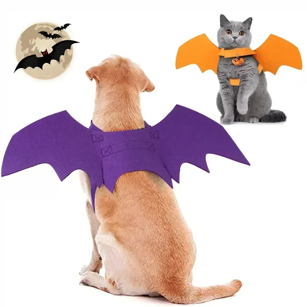 Disfarce para Gato Halloween