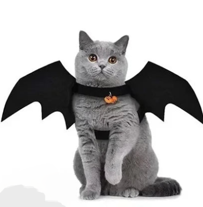 Disfarce para Gato Halloween