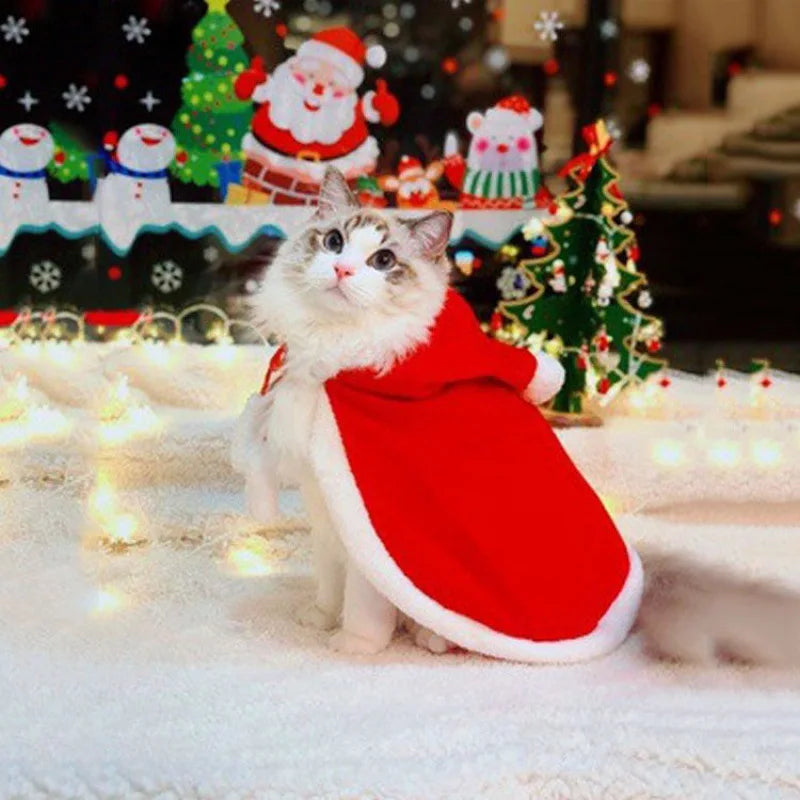Disfarce de Natal para Gato