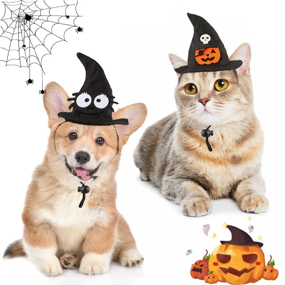 Disfarce para Gato Halloween