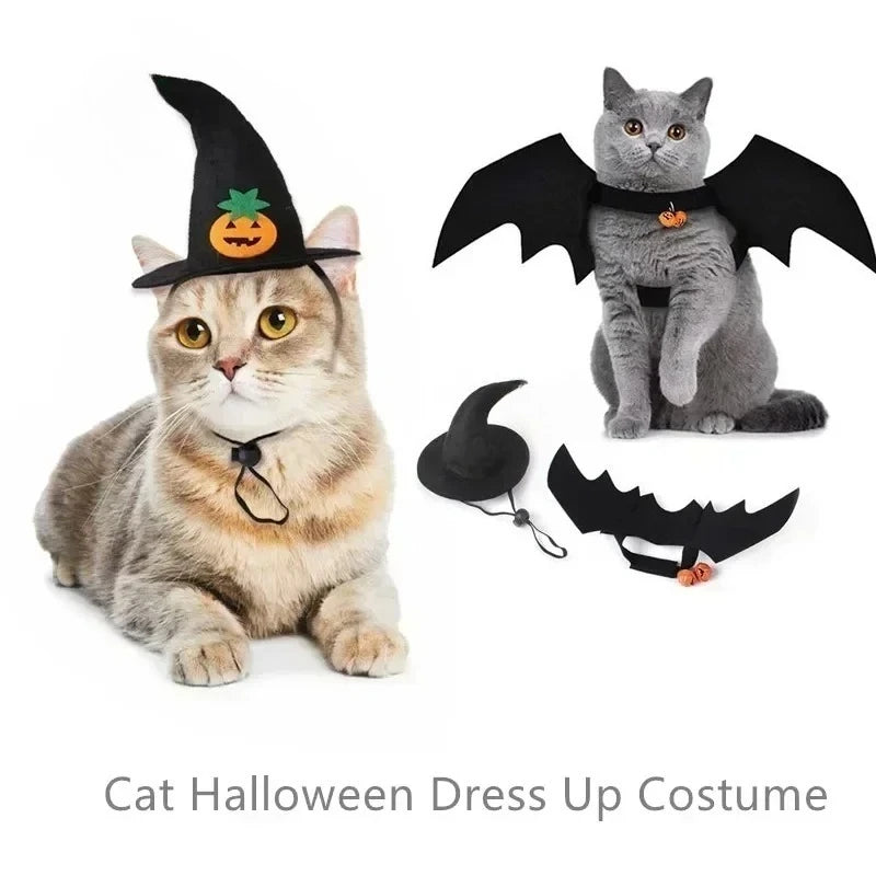Disfarce para Gato Halloween