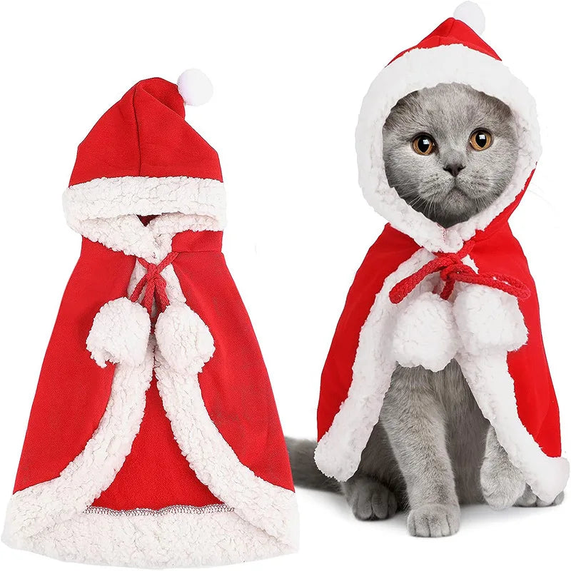 Disfarce de Natal para Gato